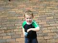 Picture 019